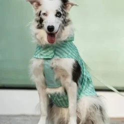 Dukier Chubasquero Soft Green Perro Pequeño