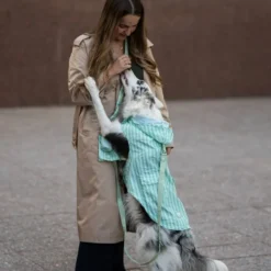 Dukier Chubasquero Soft Green Perro Mediano