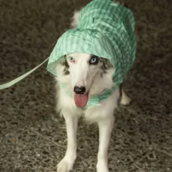 Dukier Chubasquero Soft Green Perro Mediano