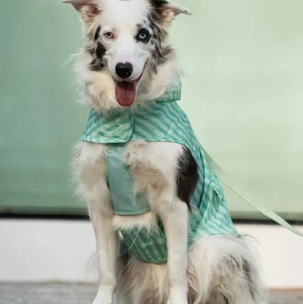 Dukier Chubasquero Soft Green Perro Grande