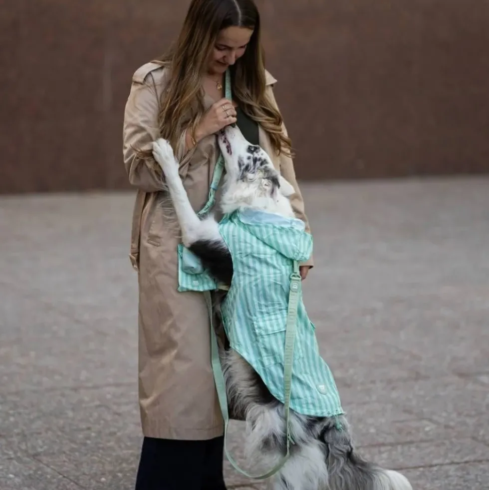 Dukier Chubasquero Soft Green Perro Grande