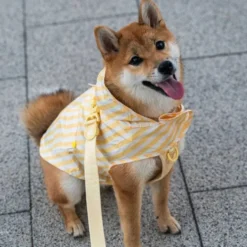 Dukier Chubasquero Vanilla Perro Pequeño