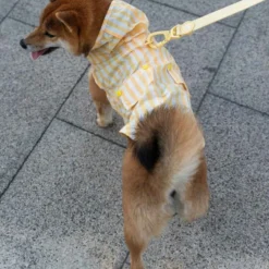 Dukier Chubasquero Vanilla Perro Mediano