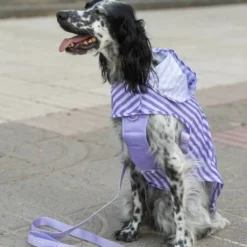 Dukier Chubasquero Violet Perro Pequeño