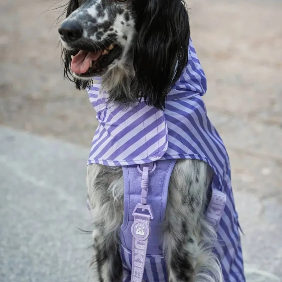 Dukier Chubasquero Violet Perro Pequeño