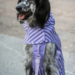 Dukier Chubasquero Violet Perro Mediano