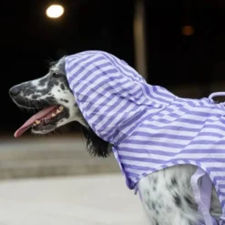 Dukier Chubasquero Violet Perro Grande