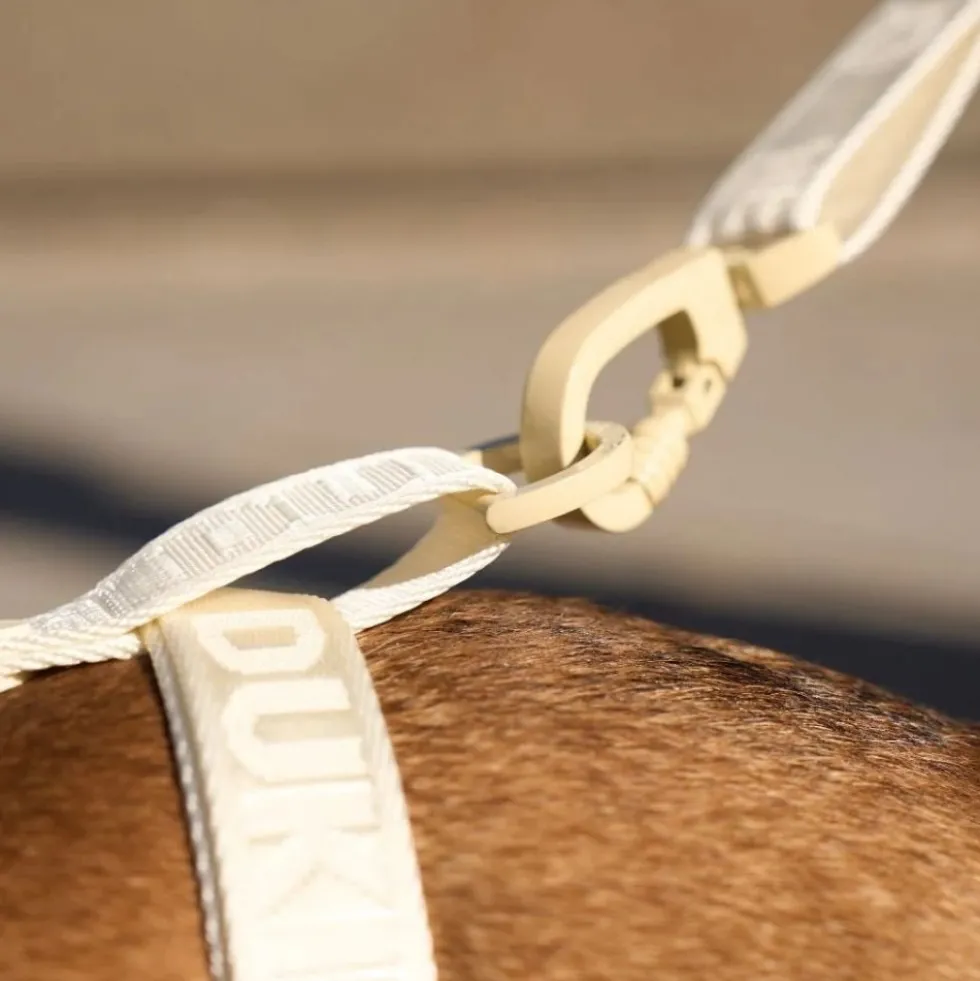 Dukier Correa Multiposición Beige para Perro