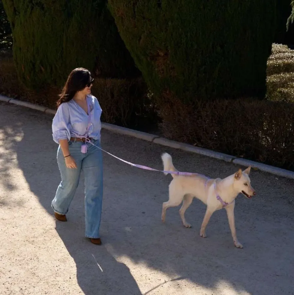 Dukier Correa Multiposición Violet para Perro