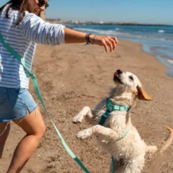 Dukier Correa Multiposición Waterproof Turquoise para Perro
