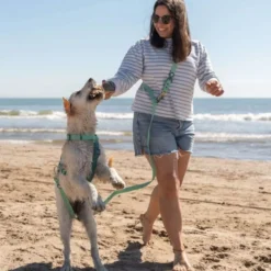 Dukier Correa Multiposición Waterproof Jade Mint para Perro