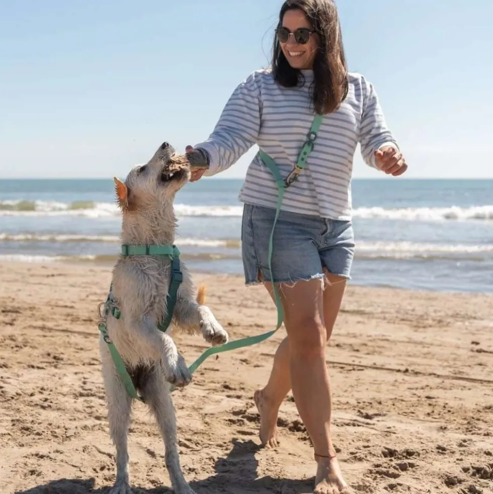 Dukier Correa Multiposición Waterproof Jade Mint para Perro