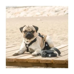 Dukier Correa Waterproof Negra para Perros