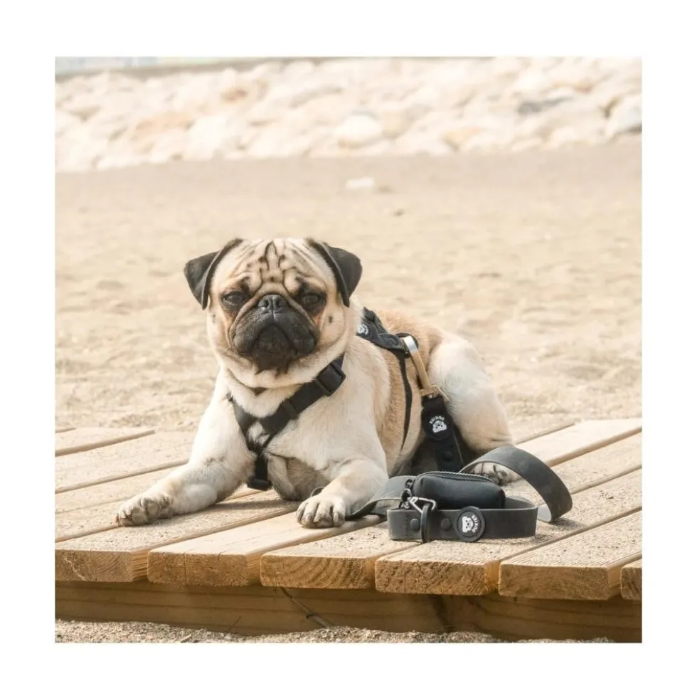 Dukier Correa Waterproof Negra para Perros