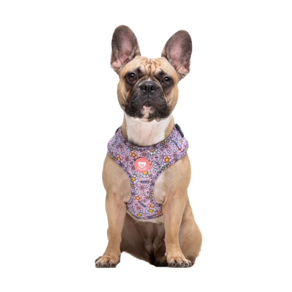 Dukier Flower Power Arnés Ajustable para Perros