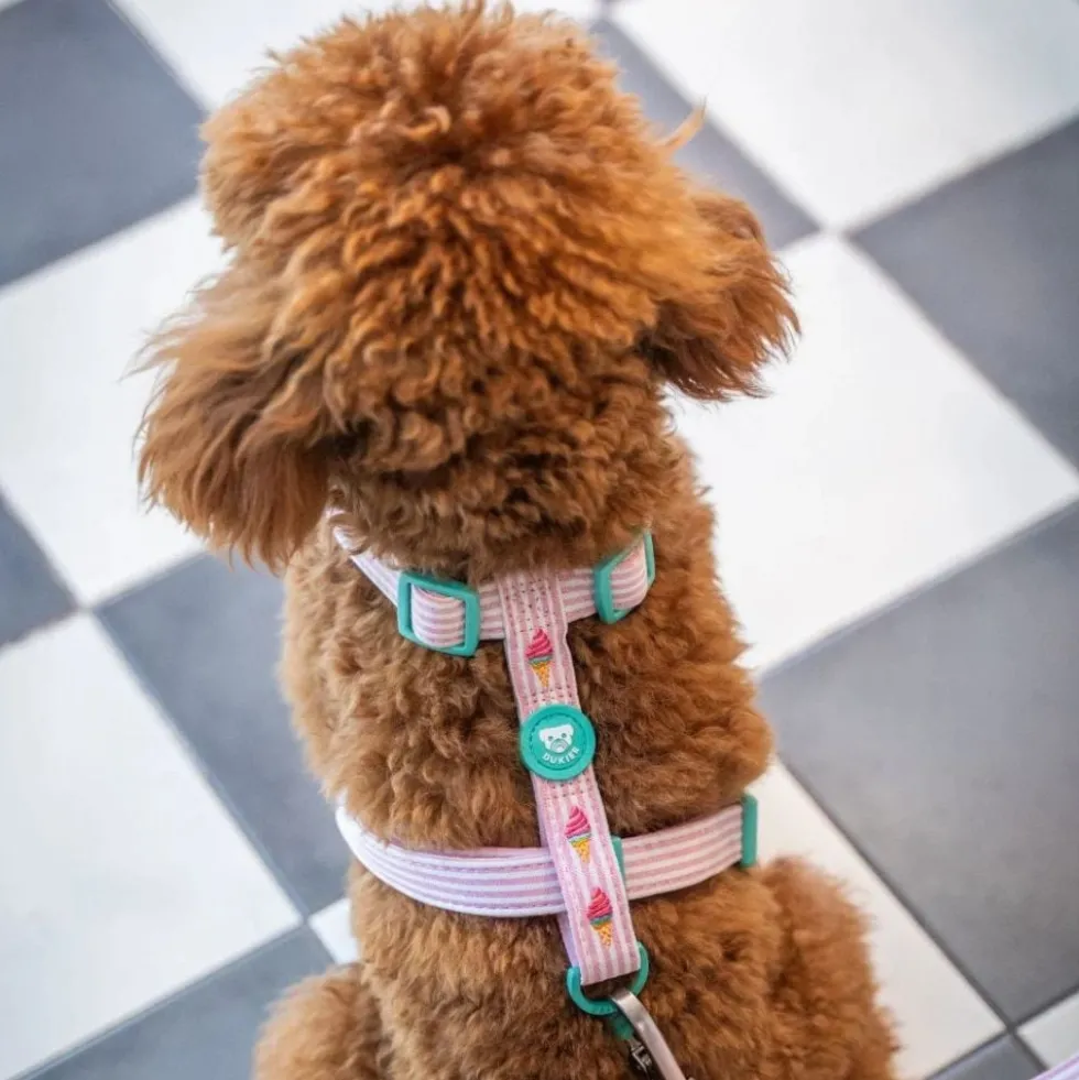 Dukier Ice Cream Arnés Clásico para Perro