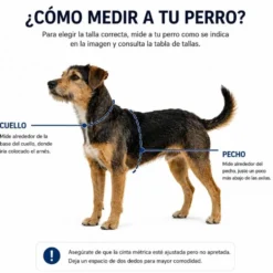 Dukier Kaleido Pink Grid Arnés Clásico para Perro