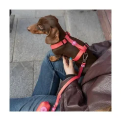 Dukier Kaleido Pink Grid Arnés Clásico para Perro