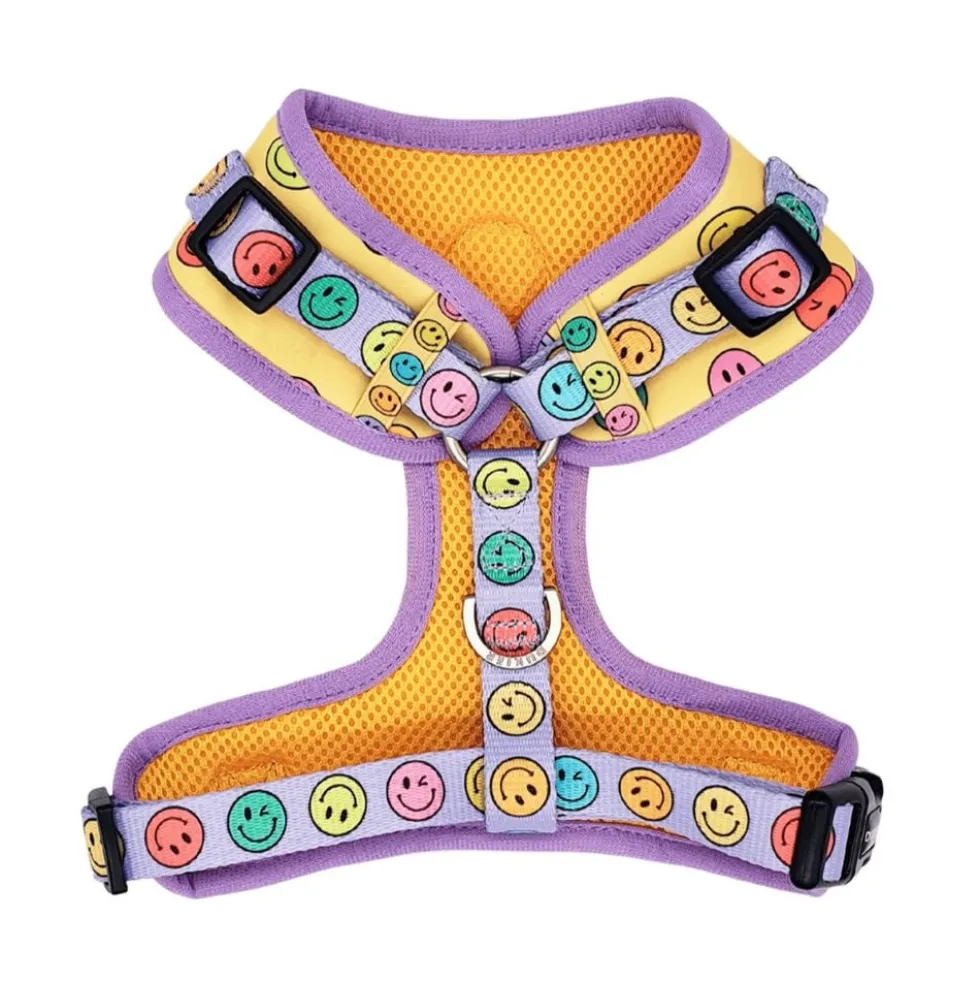 Dukier Smiley Arnés Ajustable para Perros