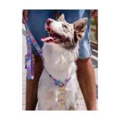 Dukier Smiley Arnés Clásico para Perro
