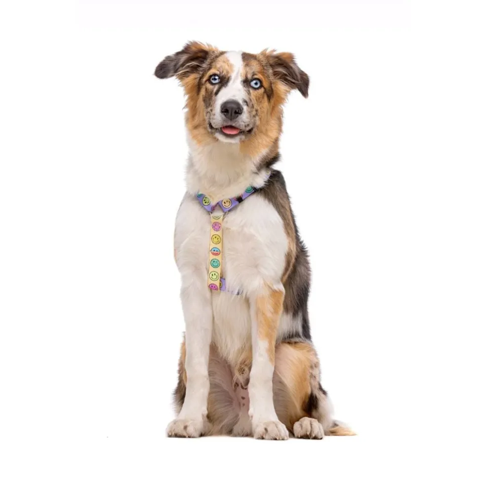 Dukier Smiley Arnés Clásico para Perro