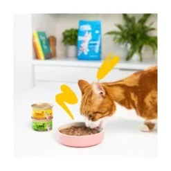Edgard and Cooper Lata de Pavo y Pollo en Salsa para Gato