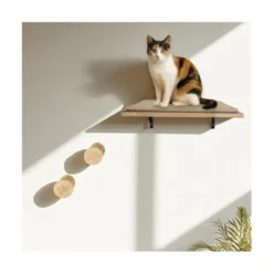 Estante de Escalada Coral para Gatos