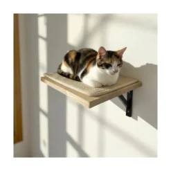 Estantería Ancla para Gatos