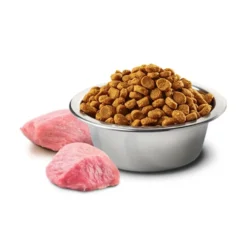 Farmina ND Pumpkin Pienso de Cordero Adult Med/Maxi para Perros