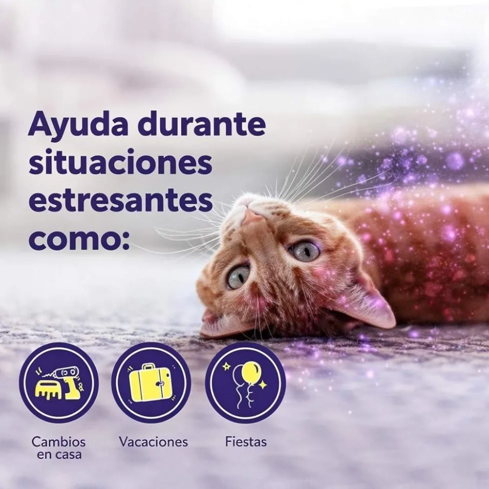 Feliway Help Difusor + Recambio