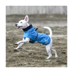 Freedog Abrigo Impermeable Azul para Perro Mediano