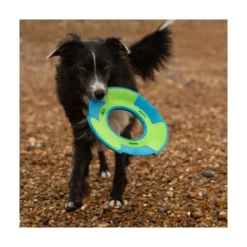 FRUBBA Frisbee para Perro