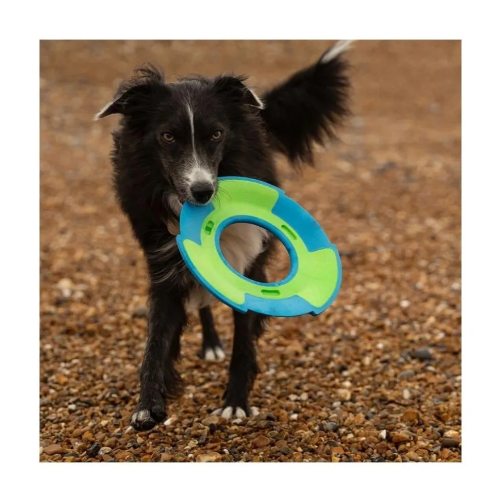 FRUBBA Frisbee para Perro