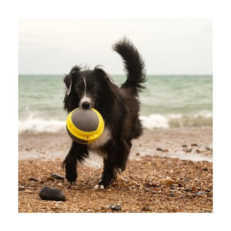 FRUBBA Mega Pelota para Perros