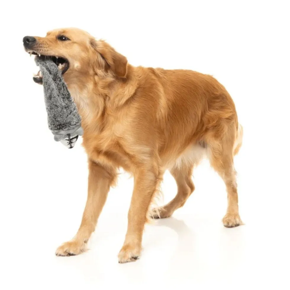 FuzzYard Juguete Mapache The Yeetz para Perro
