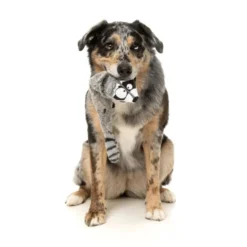 FuzzYard Juguete Mapache The Yeetz para Perro