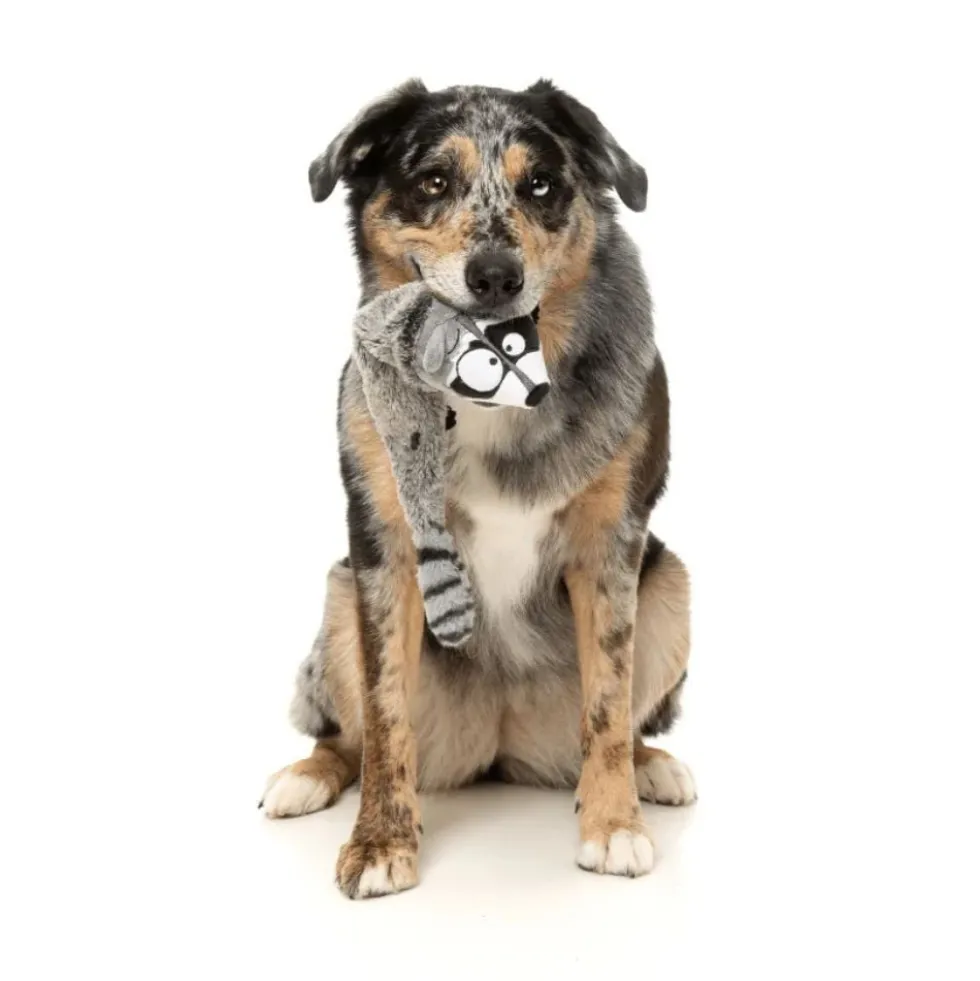 FuzzYard Juguete Mapache The Yeetz para Perro