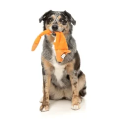 FuzzYard Juguete Zorro The Yeetz para Perro
