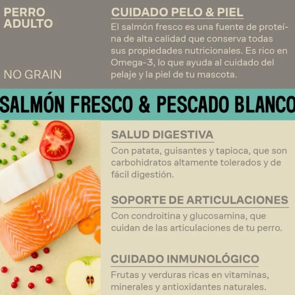 Givers Pienso de Salmón y Pescado Blanco para Perro