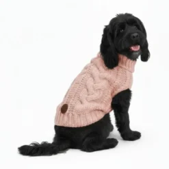 Jersey Designed by Lotte Haida Rosa para Perro