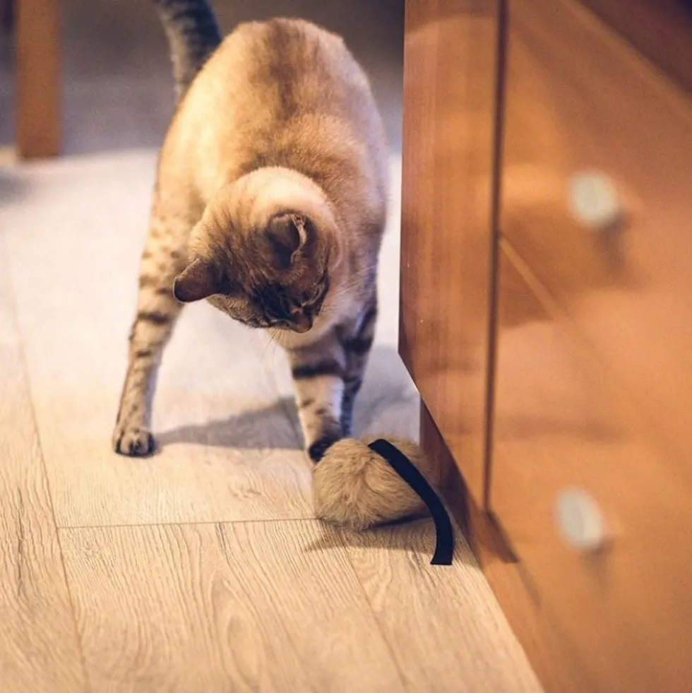 Juguete Calatrava de Pelo de Conejo para Gato