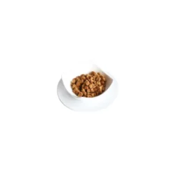 Kit Cat Freezebites Chuches Atún para Gatos
