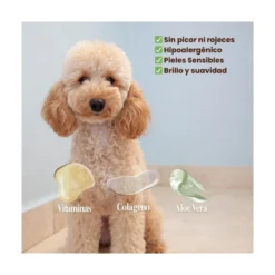 Masco Beauty Champú Detox Pieles Sensibles