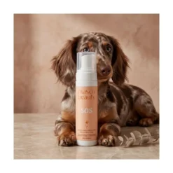 Masco Beauty Champú Seco en Espuma
