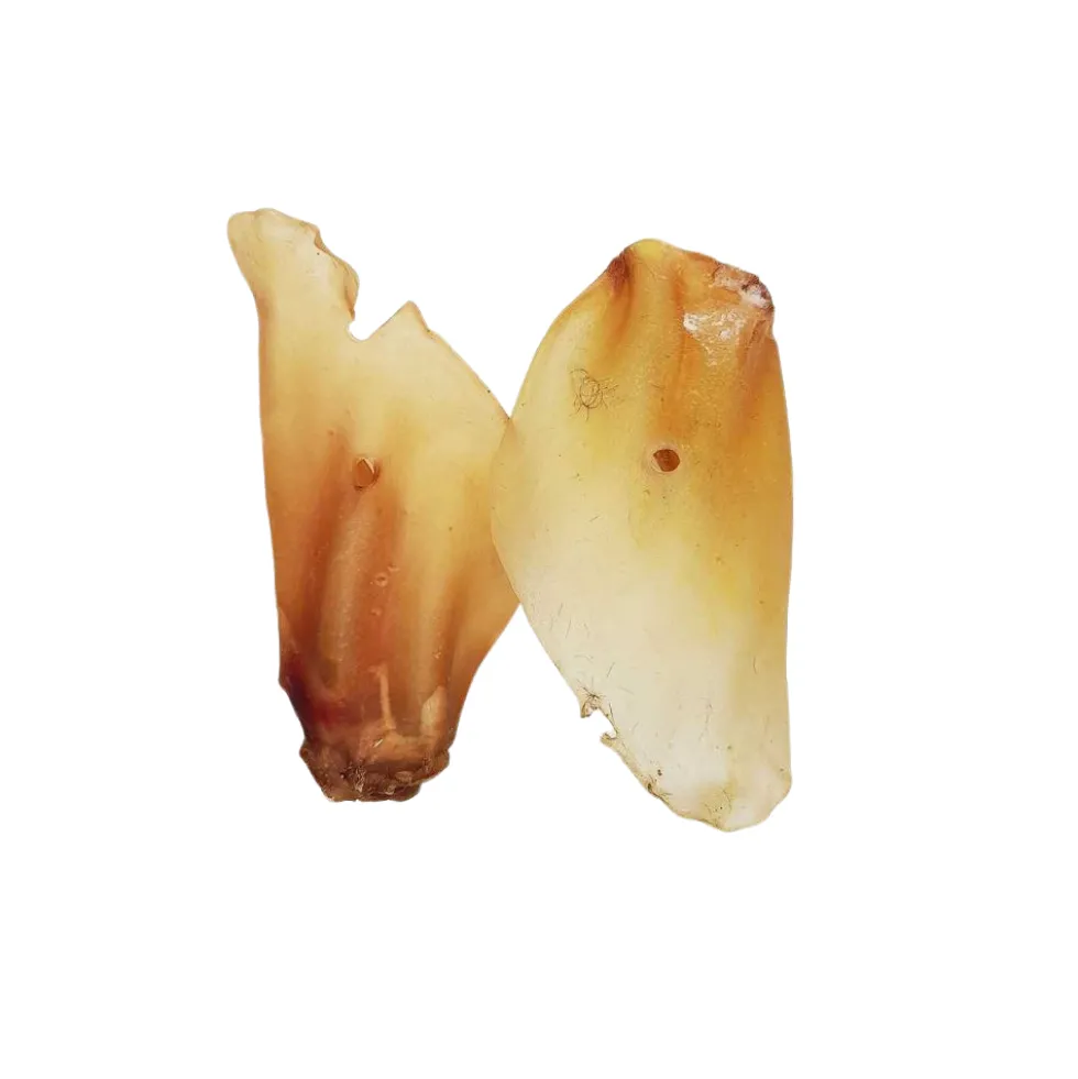 Mordedores Naturales Oreja de Ternera (4 uds)