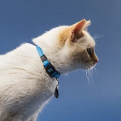 MyFamily Collar Memopet® Azul con Chip NFC para Gato