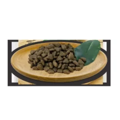 Natural Greatness Field and River Pienso para Gato