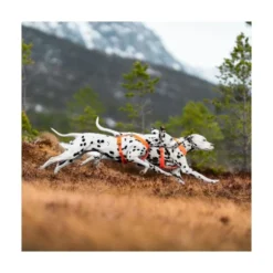 Non-stop Dogwear Arnés en 