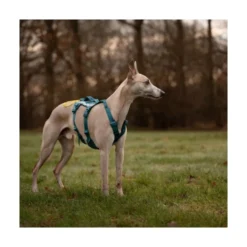 Non-stop Dogwear Arnés Ramble Long con 6 Puntos de Ajuste para Perro