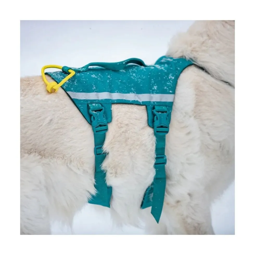 Non-stop Dogwear Arnés Ramble Long con 6 Puntos de Ajuste para Perro